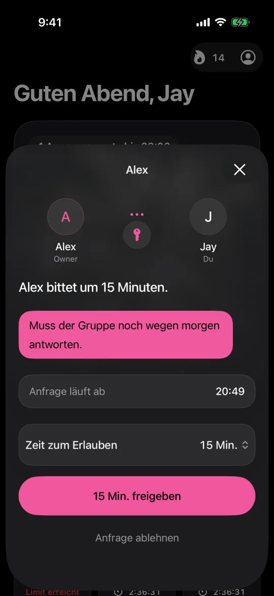 Die Ansicht deines Warden für eine Anfrage über 15 Minuten, mit Genehmigen und Ablehnen
