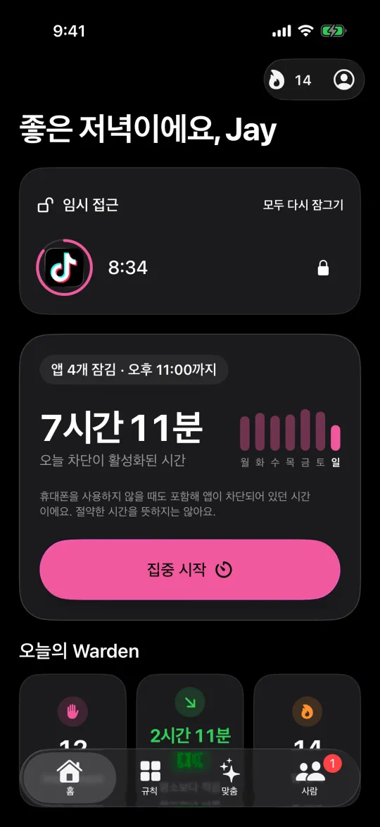 홈에서 카운트다운 중인 TikTok 임시 접근