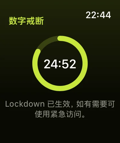 Apple Watch 上无法提前结束的 Lockdown 戒断